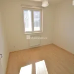 Rent 1 bedroom house of 970 m² in Chýně