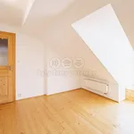 Rent 3 bedroom apartment of 130 m² in Františkovy Lázně