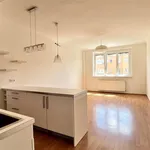 Rent 2 bedroom apartment of 50 m² in Capital City of Prague