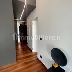 Rent 3 bedroom apartment of 120 m² in Turin