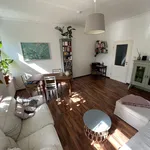 Rent 1 bedroom apartment of 70 m² in Dresden