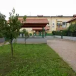 Rent 1 bedroom apartment of 60 m² in torino