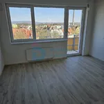 Rent 1 bedroom apartment in Olomouc