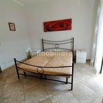 Rent 2 bedroom apartment of 85 m² in Catania