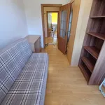 Rent 3 bedroom apartment of 53 m² in Szczecin