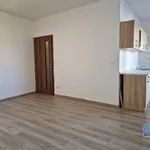 Rent 1 bedroom apartment in Plzeň-sever