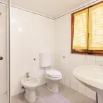 Rent 1 bedroom apartment in Florence