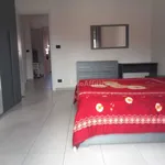 Rent 2 bedroom apartment of 55 m² in Turin