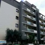 Rent 3 bedroom apartment of 75 m² in Cagliari