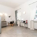 Rent 1 bedroom house of 45 m² in Torino