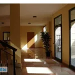 Rent 2 bedroom apartment of 75 m² in Turin