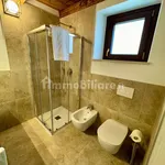 Rent 3 bedroom house of 150 m² in Pozzolengo