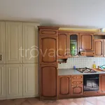 Rent 2 bedroom apartment of 50 m² in Biella