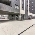 Rent 3 bedroom apartment of 134 m² in Zagreb