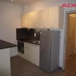 Pronajměte si 2 ložnic/e byt o rozloze 48 m² v Prague