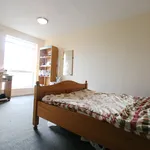 Rent a room in Sheffield