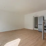 Rent 1 bedroom apartment of 43 m² in brno