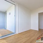 Rent 3 bedroom apartment of 71 m² in Vienna