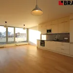 Pronajměte si 3 ložnic/e byt o rozloze 113 m² v Brno