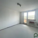 Pronajměte si 2 ložnic/e byt o rozloze 58 m² v Blansko