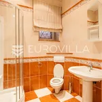 Rent 8 bedroom house of 500 m² in Zagreb