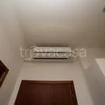 Rent 2 bedroom apartment of 42 m² in Comacchio