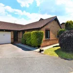 Bungalow to rent in Foxes Walk, Higher Kinnerton CH4