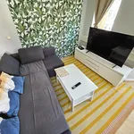 Miete 2 Schlafzimmer wohnung von 55 m² in Erfurt