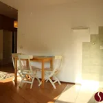 Rent 1 bedroom apartment of 37 m² in Poznan