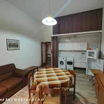 Rent 2 bedroom apartment of 60 m² in Bologna