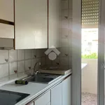 Affitto 4 camera appartamento di 85 m² in Bologna