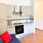 Rent 2 bedroom apartment of 45 m² in Pisa