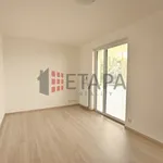 Rent 2 bedroom apartment of 90 m² in České Budějovice