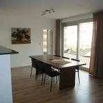 Etterbeek, à proximité de la Place st Antoine, dans une construction neuve, splendide appartement 110 m2, deux chambres, salle de bains, cuisine entièrement équipée, terrasse, parking, cave, à