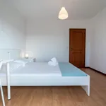 Rent 4 bedroom apartment in Braga