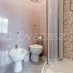 Rent 1 bedroom apartment of 30 m² in Firenze