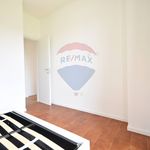 Appartamento in Affitto Castelletto sopra Ticino 39751012-77 | RE/MAX Italia