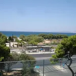 Rent 1 bedroom apartment of 253 m² in Municipal Unit of Elliniko