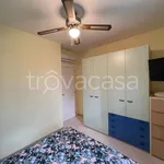 Rent 3 bedroom house of 80 m² in Carovigno