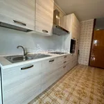 Rent 4 bedroom apartment of 162 m² in Novara