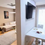 Rent 1 bedroom apartment of 85 m² in Prague