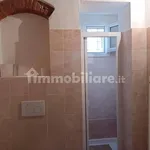 Rent 3 bedroom apartment of 70 m² in Pisa