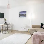 Miete 1 Schlafzimmer wohnung von 484 m² in vienna