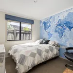 Rent 4 bedroom house in Tauranga