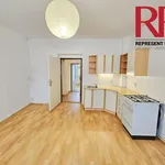 Rent 1 bedroom apartment of 35 m² in Plzeň