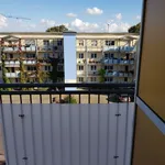 Rent 1 bedroom apartment of 25 m² in Magdeburg