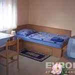 Rent 1 bedroom apartment of 20 m² in Hradec Králové