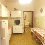 Rent 3 bedroom apartment of 80 m² in Follonica