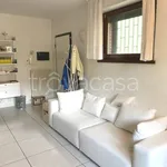 Rent 2 bedroom apartment of 65 m² in Milano