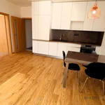 Rent 2 bedroom apartment in Brno